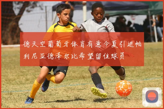 德天空葡萄牙体育有意今夏引进帕利尼亚德泽尔比希望留住球员